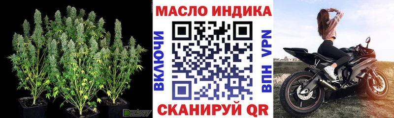 Купить где  Салаир  ТГК THC oil 