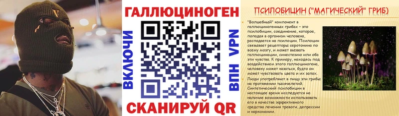 Галлюциногенные грибы прущие грибы  Купить  Салаир 